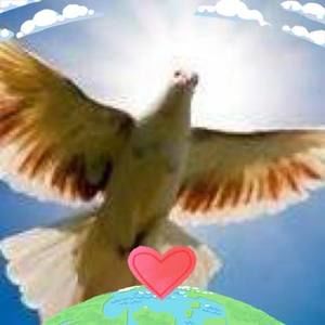 Meet your Posher, Maiza